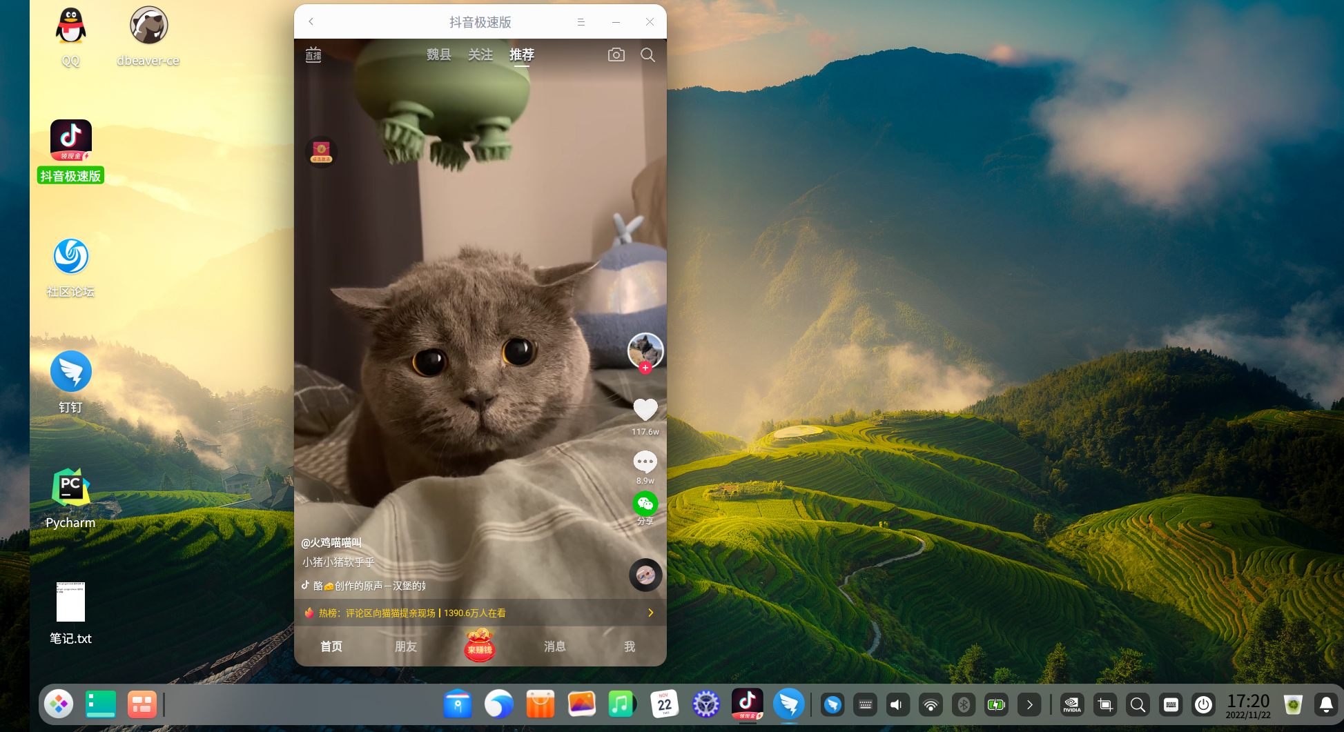 deepin